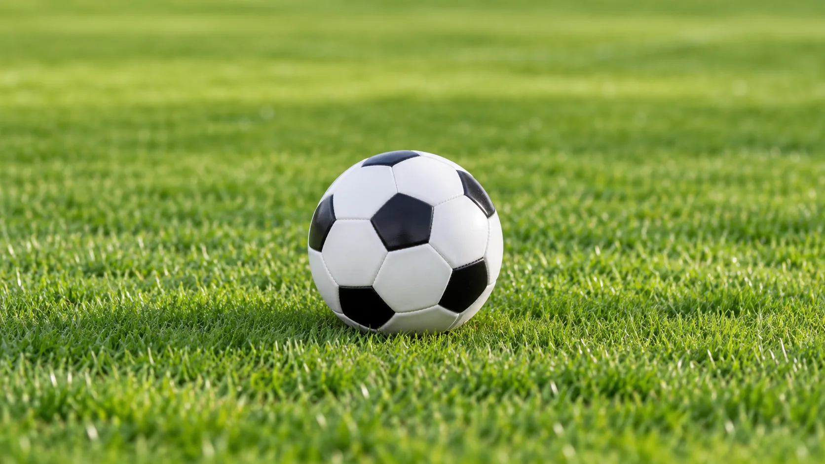 乐鱼leyu官方